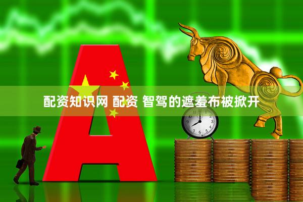 配资知识网 配资 智驾的遮羞布被掀开