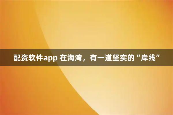 配资软件app 在海湾，有一道坚实的“岸线”