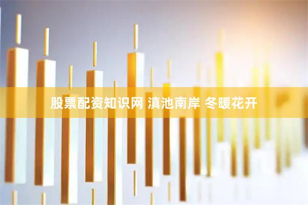 股票配资知识网 滇池南岸 冬暖花开