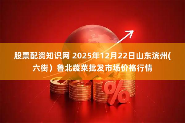 股票配资知识网 2025年12月22日山东滨州(六街）鲁北蔬菜批发市场价格行情